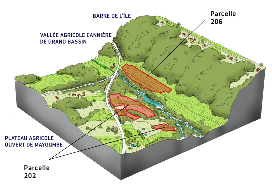 parcelles